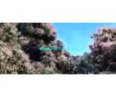 16 Acres Agriculture Land  For Sale In Srinivasapura 16 Acres Agriculture Land  For Sale In Srinivasapura
