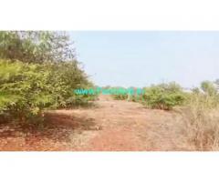 20 Acres Agriculture Land  For Sale In Zahirabad