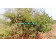 20 Acres Agriculture Land  For Sale In Zahirabad