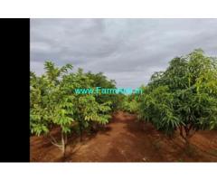 85 Acres Agriculture Land  For Sale In Penukonda