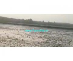 12 Acres Agriculture Land  For Sale In Chityala Mandal