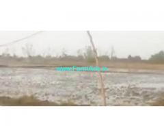 12 Acres Agriculture Land  For Sale In Chityala Mandal