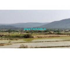 Low Cost 1200 Acres Agriculture Land  For Sale In Kollapur