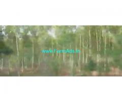 100 Acres Agriculture Land  For Sale In Warangl