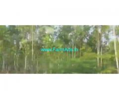 100 Acres Agriculture Land  For Sale In Warangl