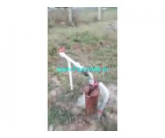 Half Acres Farm House Sale In Bannerghatta​