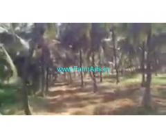 1 Acre 20 Gunta Agriculture Land  For Sale In Channapatna 1 Acre 20 Gunta Agriculture Land  For Sale In Channapatna