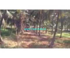 1 Acre 20 Gunta Agriculture Land  For Sale In Channapatna 1 Acre 20 Gunta Agriculture Land  For Sale In Channapatna