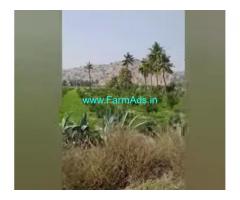 5 Acres Agriculture Land  For Sale In Salakamcheruvu