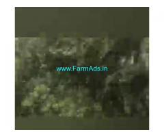 100 Acres Farm House For Sale In Gottigundala