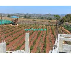 1.37 Acres Fully loaded farm land for Sale near DenkaniKottai