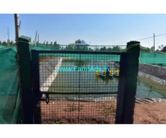 1.37 Acres Fully loaded farm land for Sale near DenkaniKottai