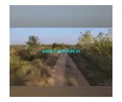 126 Acres Agriculture Land  For Sale In Dharmapura