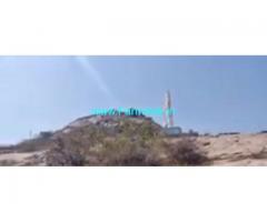 100 Acres Farm Land For Sale In Bhongir