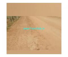 250 Acres Agriculture Land  For Sale In Prakasam