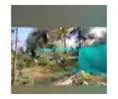 2 Acres Farm Land For Sale In Mandya