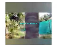 2 Acres Farm Land For Sale In Mandya