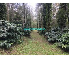 45 acre coffee estate for sale on Belur Mudigere road