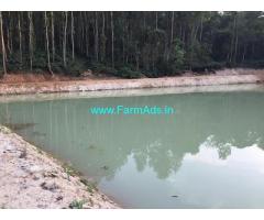 45 acre coffee estate for sale on Belur Mudigere road