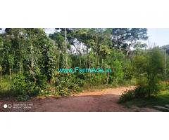 25 Acres Coffee estates with homestay for sale near Chikmagalur