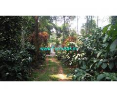 2 Acre Coffee Estate with newly constructed house for sale in Mudigere