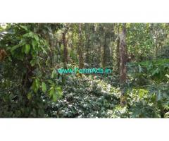 2 Acre Coffee Estate with newly constructed house for sale in Mudigere