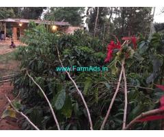 5.5 acre well maintained estate for sale in Jannapura