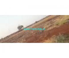 50 Acres Agriculture Land  For Sale In Kurnool