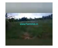 12 Acres Agriculture Land  For Sale In Bagepalli