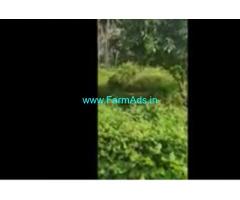 3.5 Acres Farm House For Sale In Denkanikottai