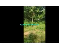 3.5 Acres Farm House For Sale In Denkanikottai