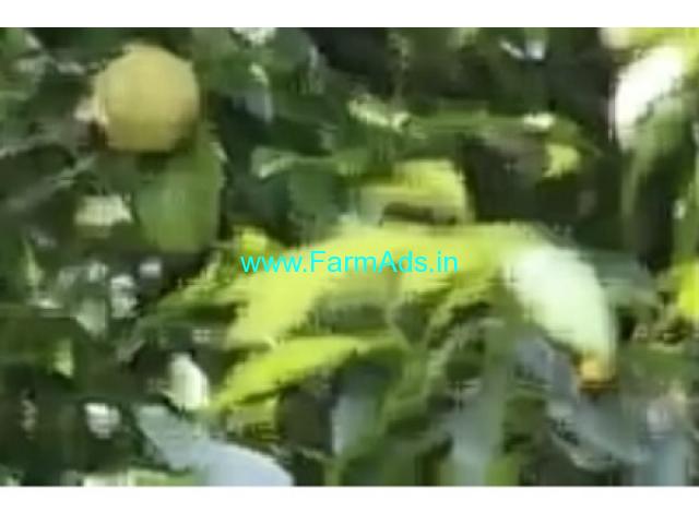 2.26 Acers Farm Land For Sale In Nellyadi 2.26 Acers Farm Land For Sale In Nellyadi