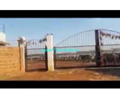 40 Acres Agriculture Land  For Sale In Rangareddy