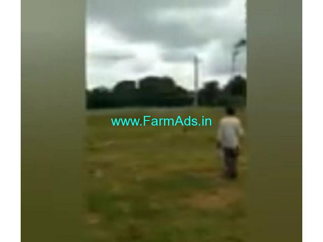 3 Acres 30 Gunta Agriculture Land  For Sale In Bagepalli 3 Acres 30 Gunta Agriculture Land  For Sale In Bagepalli