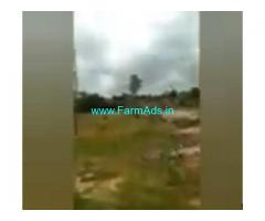 3 Acres 30 Gunta Agriculture Land  For Sale In Bagepalli 3 Acres 30 Gunta Agriculture Land  For Sale In Bagepalli