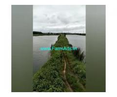 56 Acres Agriculture Land  For Sale In Guntur