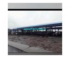 18.5 Acres Farm Land For Sale In Gajwel
