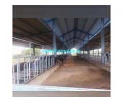 18.5 Acres Farm Land For Sale In Gajwel