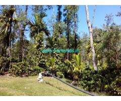 105 acre Coffee estate for sale in Balehonnur