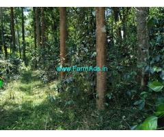 2.5 Acre neglected Coffee plantation sale in Chikmagalur