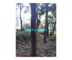 4 acres agriculture property for Sale at Belthangady