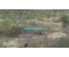 100 Acres Farm Land For Sale In Shadnagar