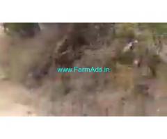 76 Acres Agriculture Land  For Sale In Jangaon