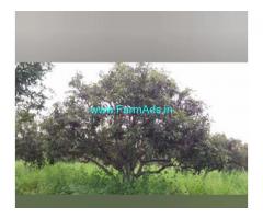 3.47 Acres Agriculture Land  For Sale In  Vasanthanagar