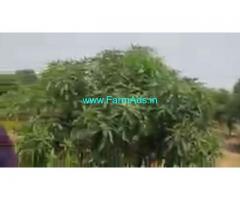 85 Acres Agriculture Land  For Sale In  KiaMotors