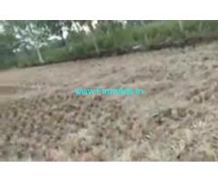 1 Acers Agriculture Land  For Sale In Warangal