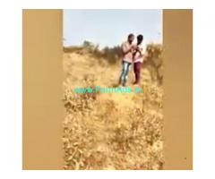 Low cost 100 Acres Farm Land For Sale In Kadiri