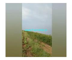 10 Acres Farm Land For Sale In Prakasham
