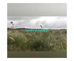 11 Acres Farm Land For Sale In Puttaparthi