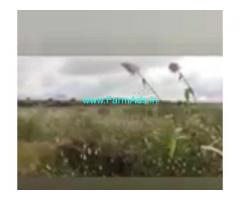 11 Acres Farm Land For Sale In Puttaparthi